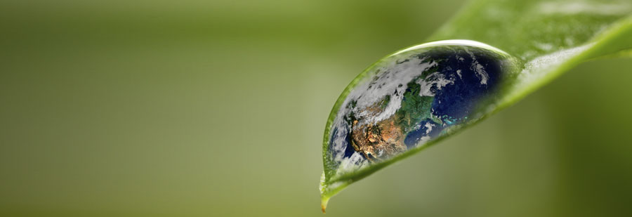 ECOCARBON - ECOLOGICAL AND ECONOMICAL